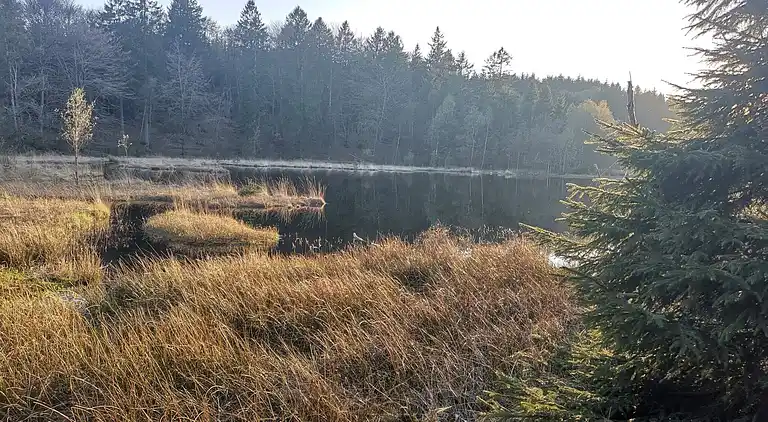 Holiday home in Asaa