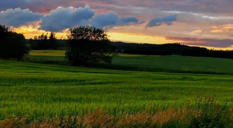 Holiday home in Asaa