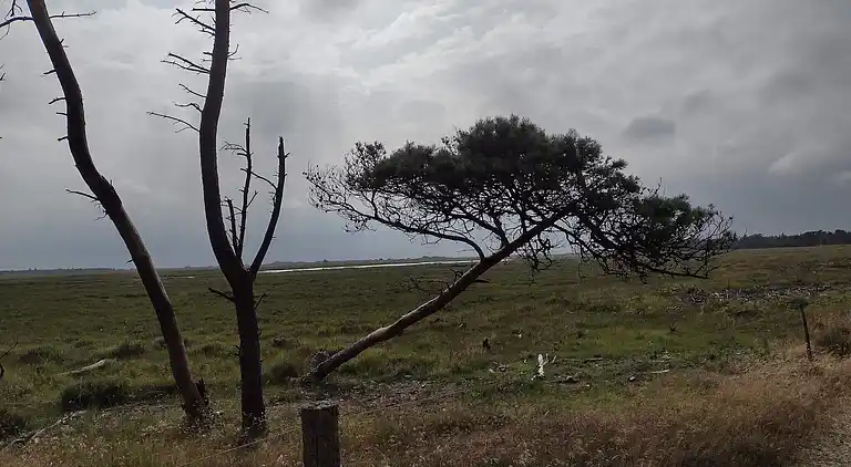 Holiday home in Mosevrå