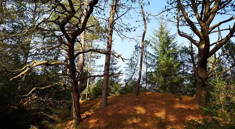 Holiday home in Mosevrå