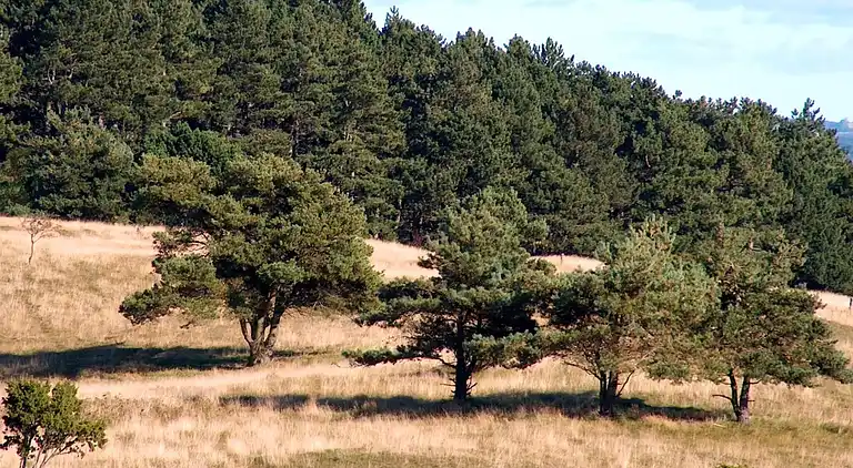 Holiday home in Ebeltoft