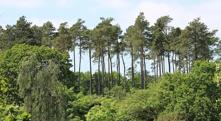 Holiday home in Ebeltoft