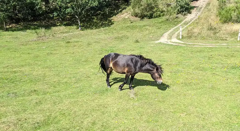 Holiday home in Ebeltoft