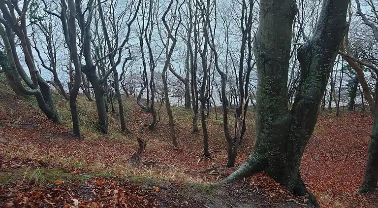 Holiday home in Ebeltoft