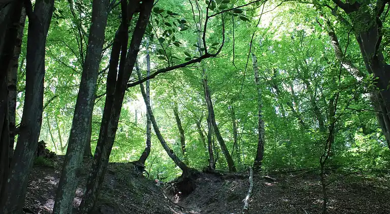 Holiday home in Ebeltoft