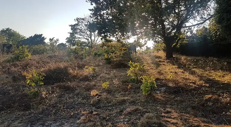 Holiday home in Ebeltoft