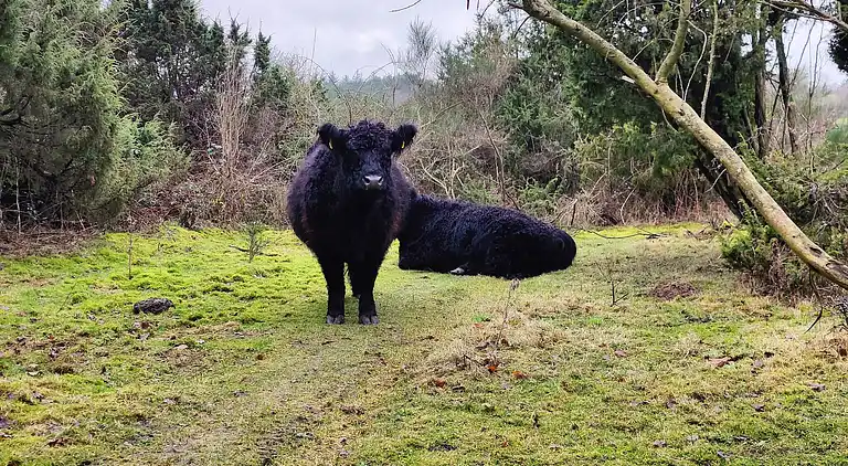 Holiday home in Ebeltoft
