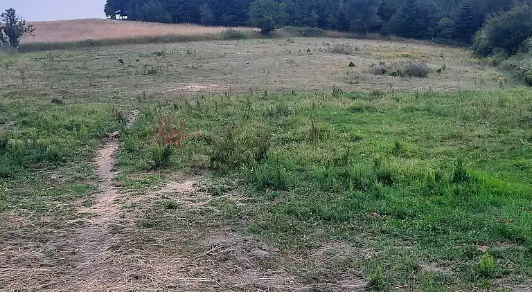 Holiday home in Ebeltoft