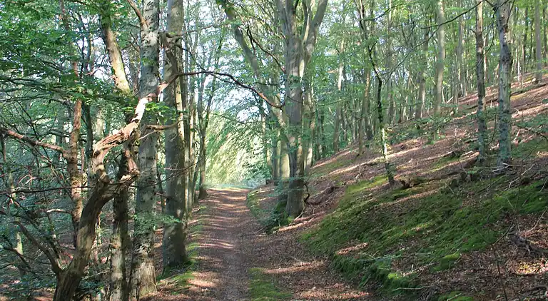 Holiday home in Ebeltoft