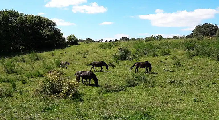 Holiday home in Ebeltoft