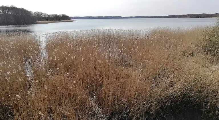 Holiday home in Fuglslev