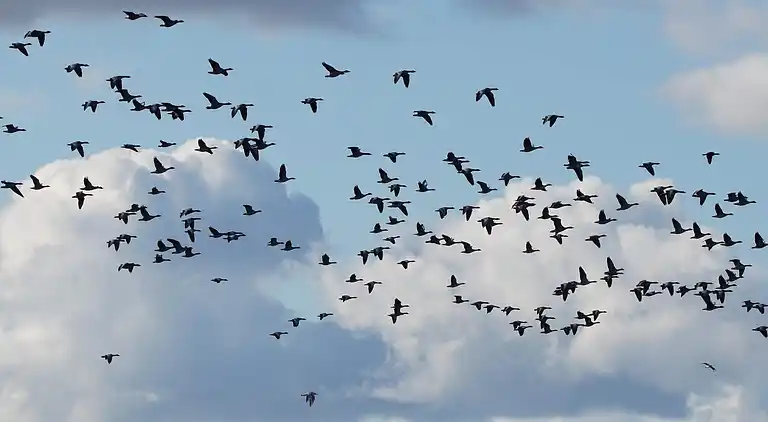 Holiday home in Fuglslev