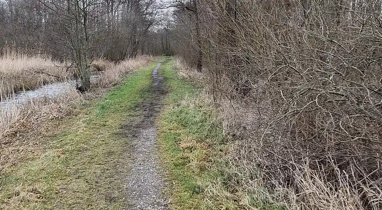 Holiday home in Fuglslev