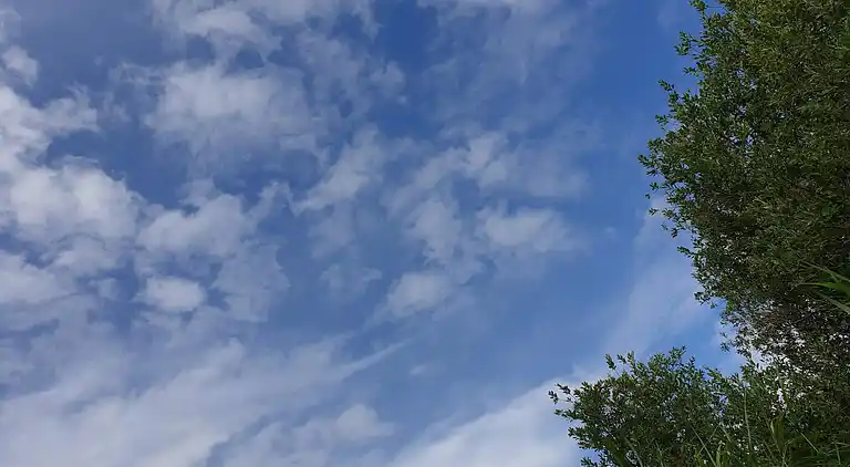 Holiday home in Fuglslev