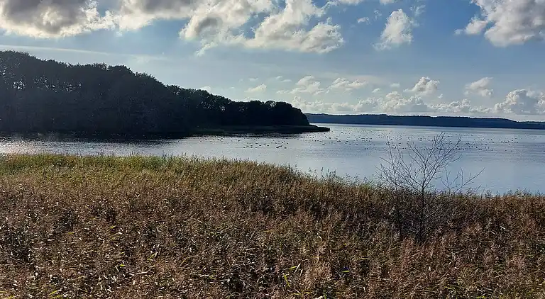 Holiday home in Fuglslev