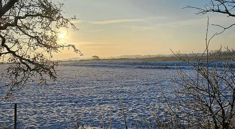 Semesterbostad i Højer