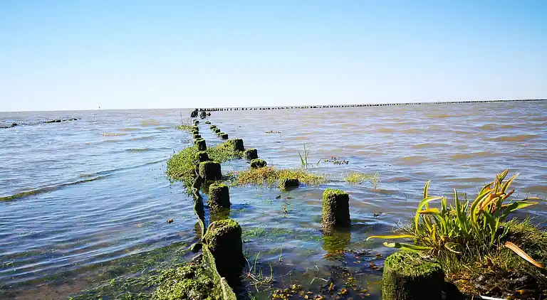 Semesterbostad i Højer