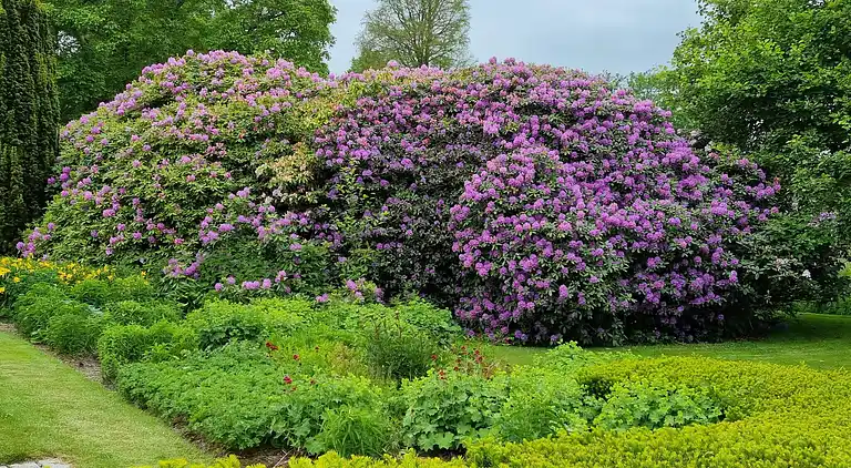 Semesterbostad i Højer