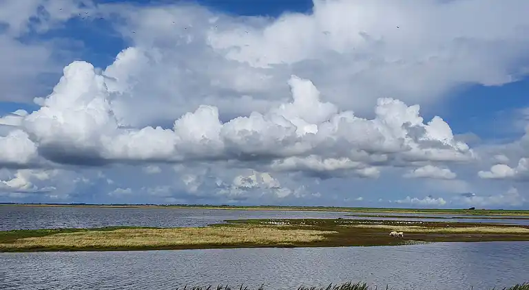 Semesterbostad i Højer