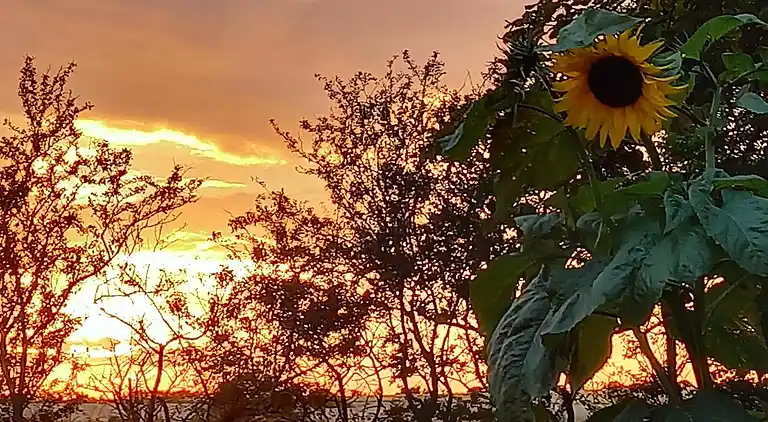 Semesterbostad i Højer