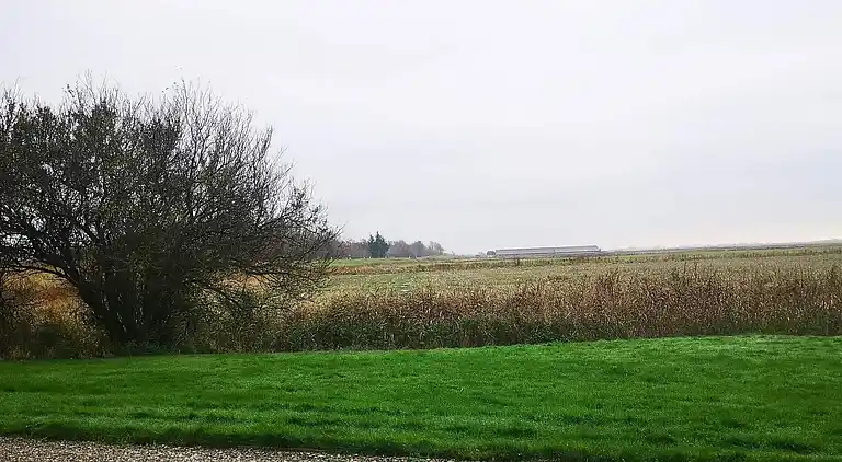 Semesterbostad i Højer