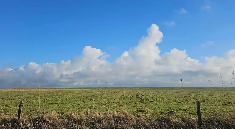 Semesterbostad i Højer
