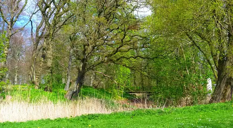 Semesterbostad i Højer