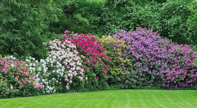 Semesterbostad i Højer