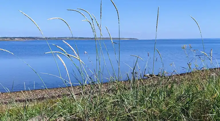 Casa de vacaciones en Vestervig