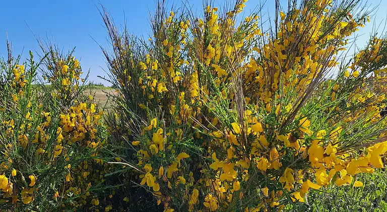 Holiday home in Ulfborg