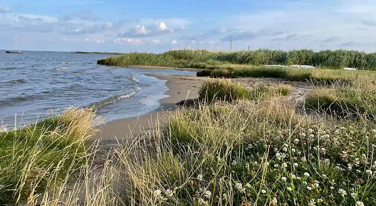 Holiday home in Ulfborg