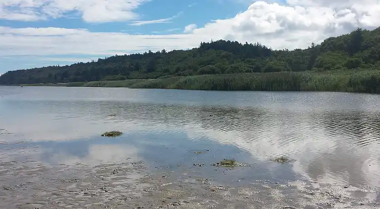 Holiday home in Bønnerup Strand