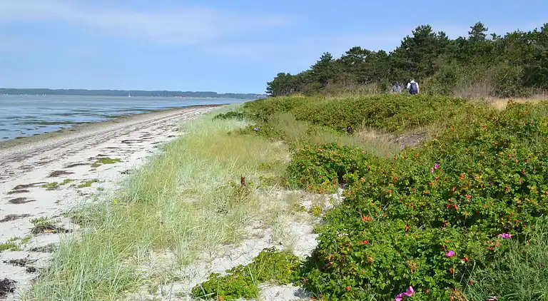 Holiday home in Øer Strand