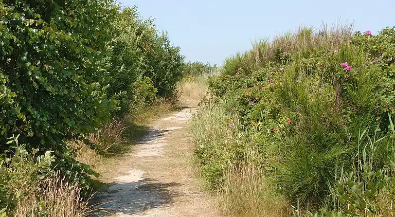 Feriebolig i Nørre Fjand
