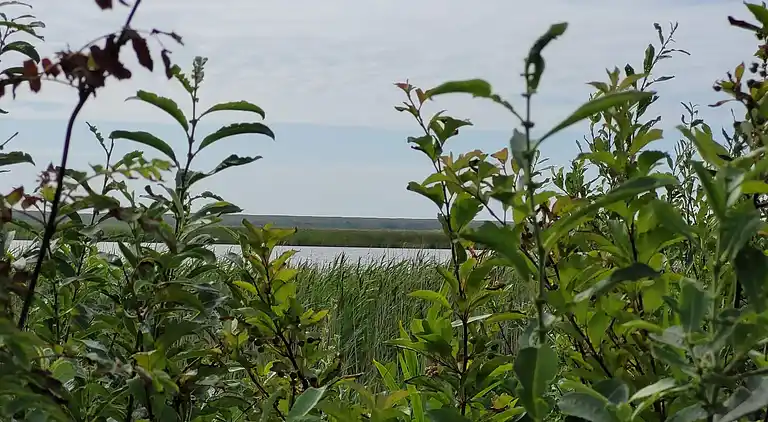 Feriebolig i Nørre Fjand