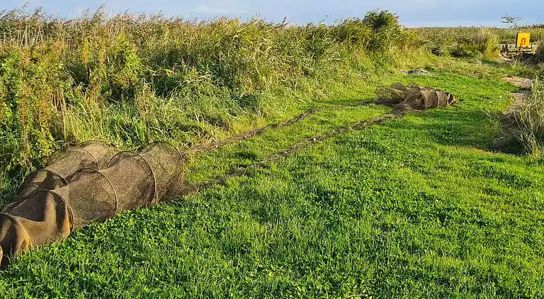 Feriebolig i Nørre Fjand