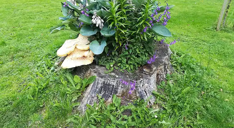 Holiday home in Ulfborg