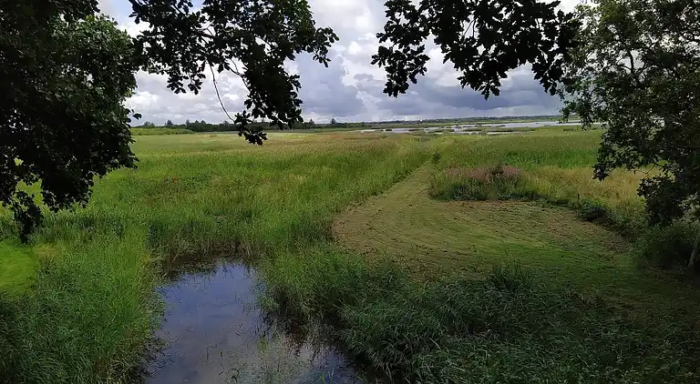 Holiday home in Ulfborg