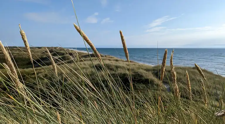 Holiday home in Ulfborg