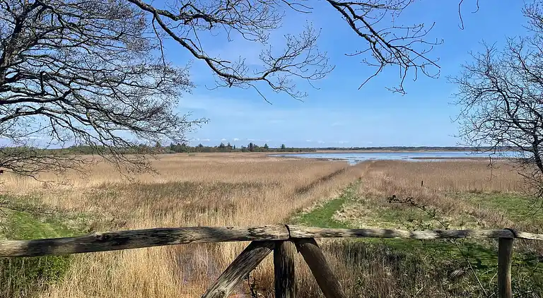 Holiday home in Ulfborg