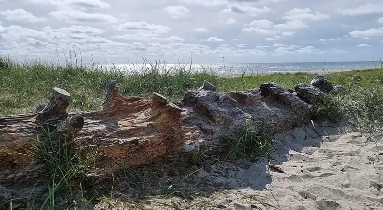 Holiday home in Blåvand