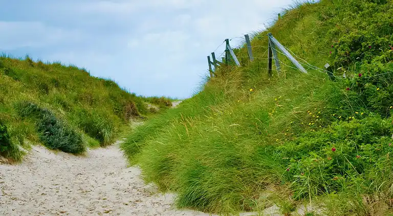 Holiday home in Blåvand