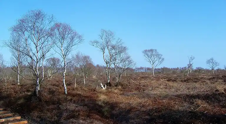 Holiday home in Storvorde