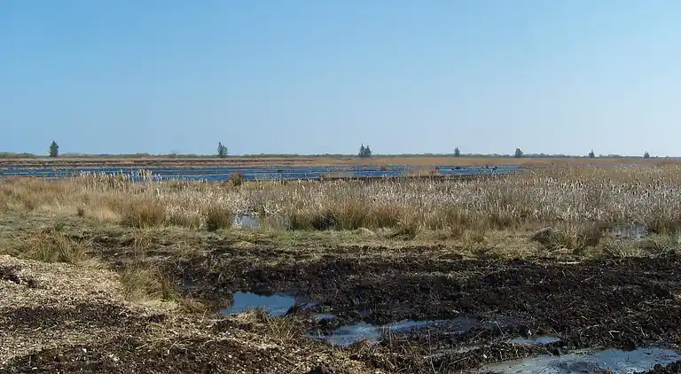 Holiday home in Storvorde