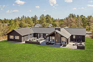 Exciting large summer house near Blåvand\'s shops and fantas