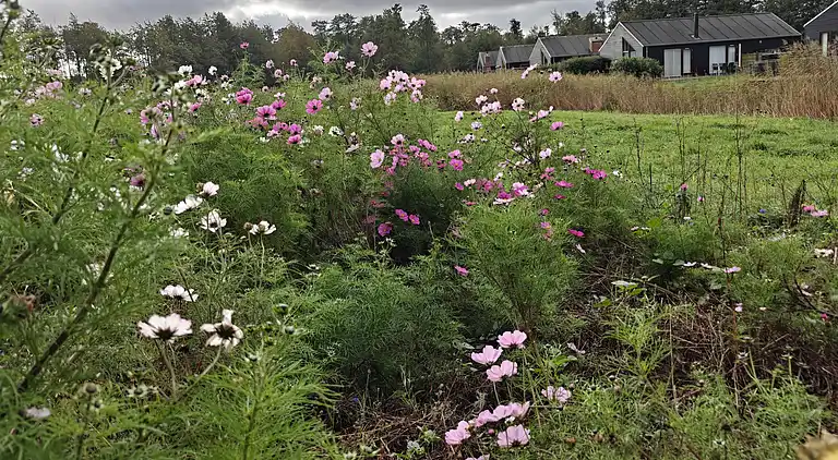 Lakefront luxury holiday retreat with cozy loft