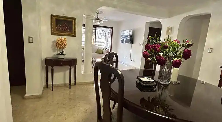 Cozy apartment in Piantini city center