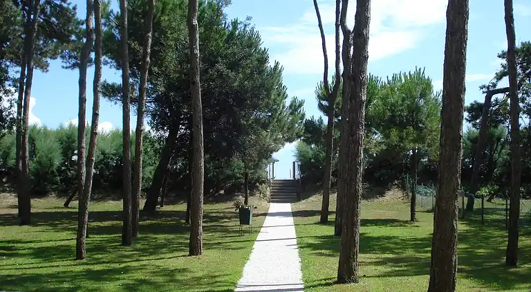 Beachfront sea view flat