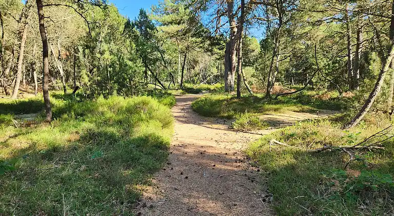 Sommerhus ved Helberskov Strand