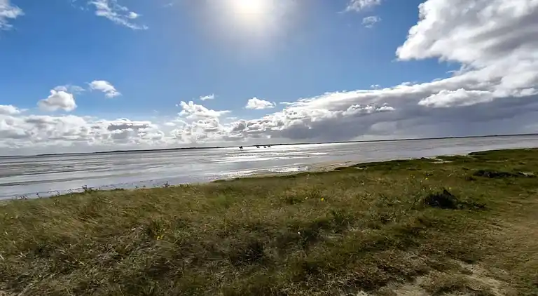 Sommerhus i Bolilmark